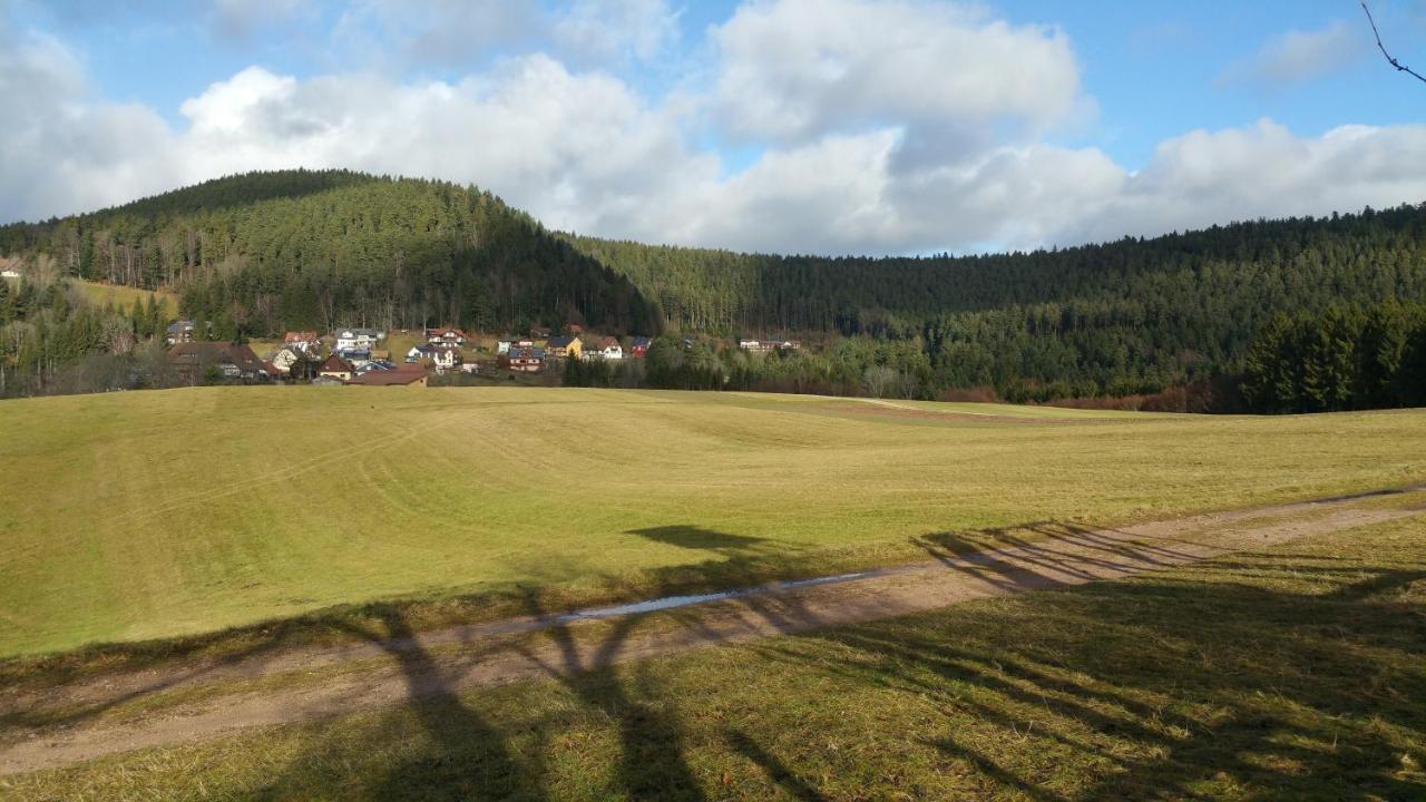 Oeko-Landhotel Basler Hof 劳特尔巴赫 外观 照片