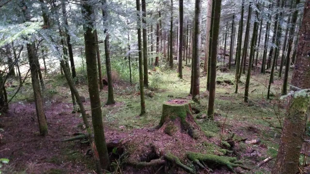 Oeko-Landhotel Basler Hof 劳特尔巴赫 外观 照片