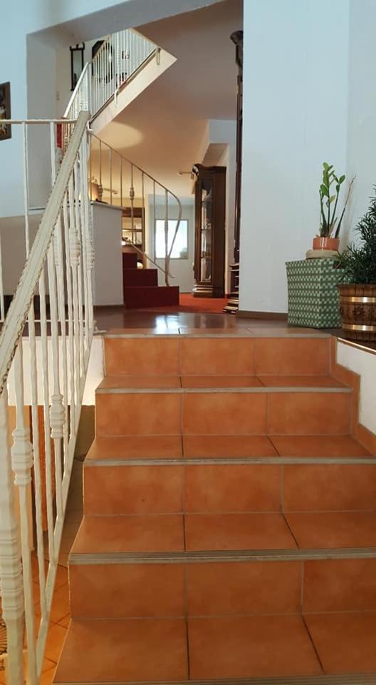 Oeko-Landhotel Basler Hof 劳特尔巴赫 外观 照片